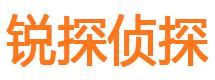 湟中市私家侦探